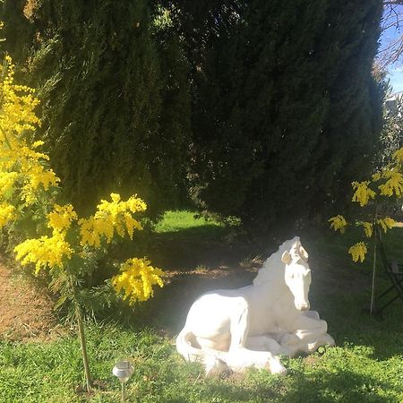 B&B Mas Les Lecques Beaucaire (Gard) Exterior foto