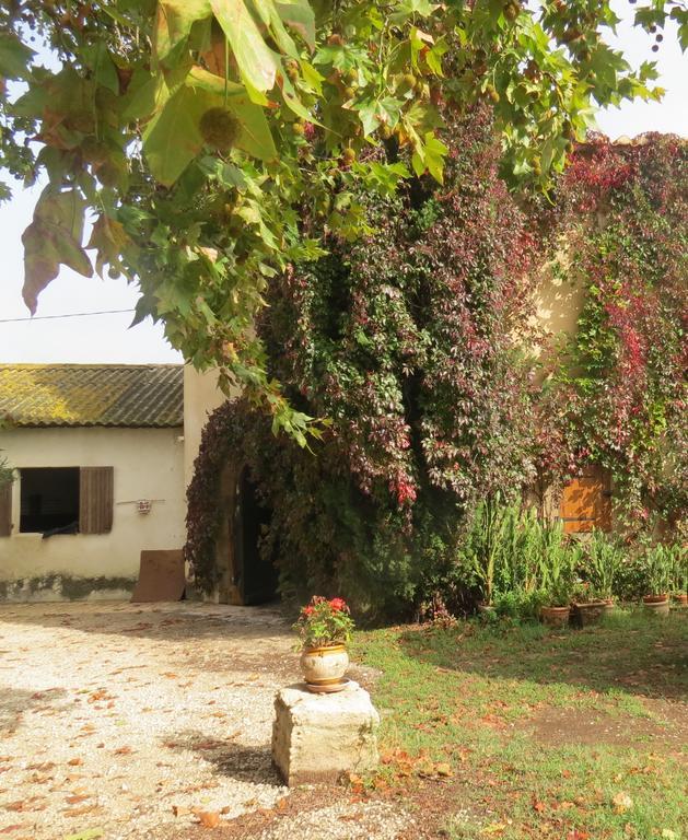 B&B Mas Les Lecques Beaucaire (Gard) Exterior foto