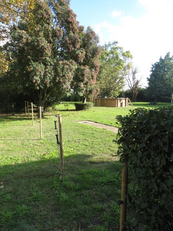 B&B Mas Les Lecques Beaucaire (Gard) Exterior foto