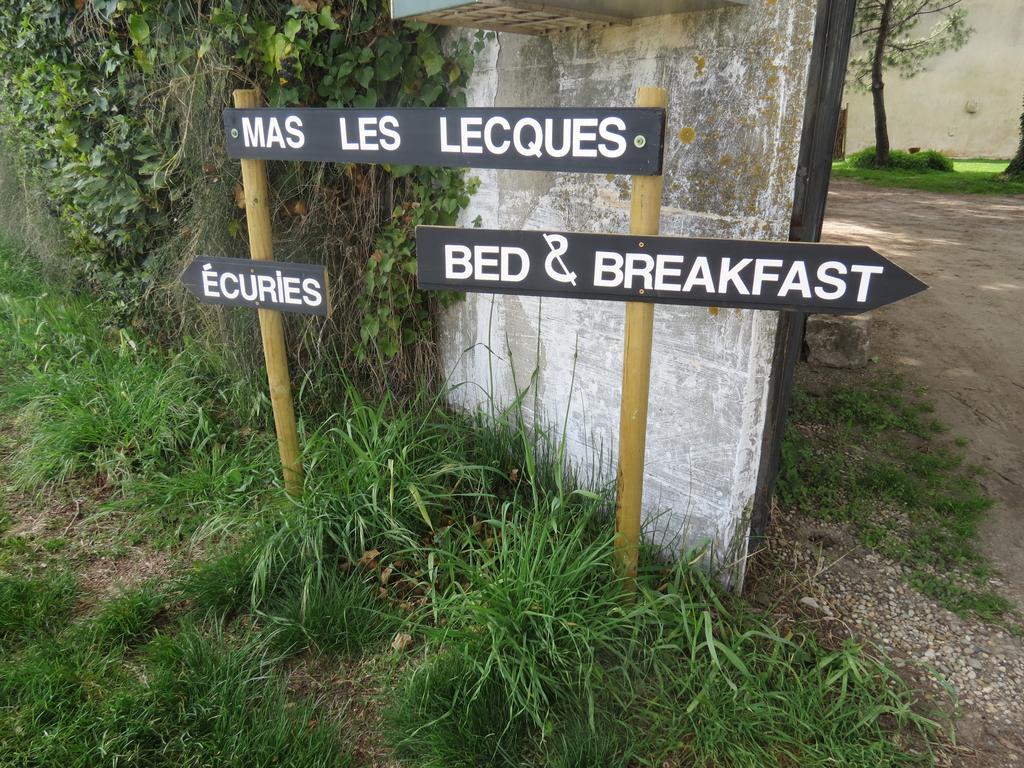 B&B Mas Les Lecques Beaucaire (Gard) Exterior foto
