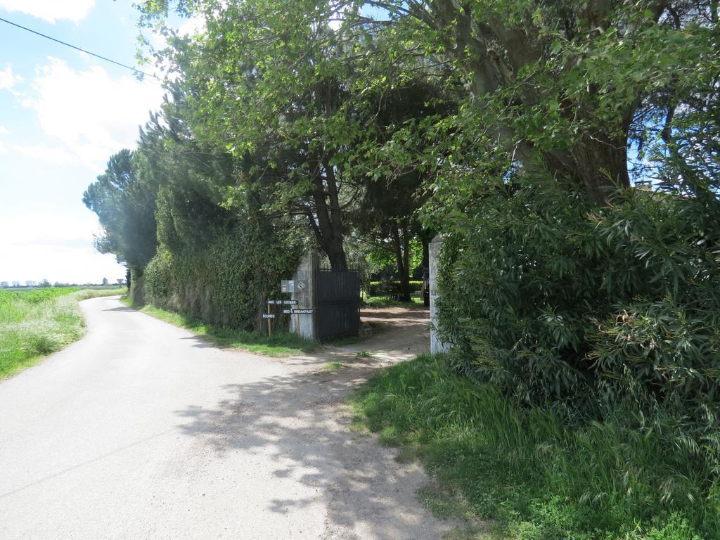 B&B Mas Les Lecques Beaucaire (Gard) Exterior foto