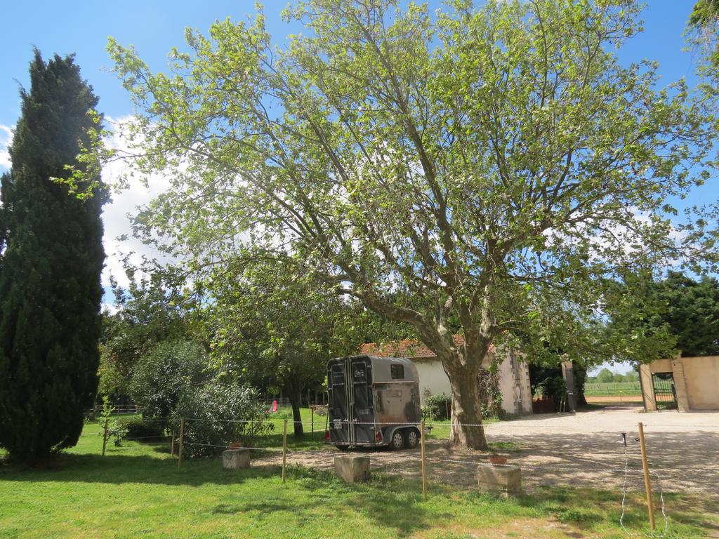 B&B Mas Les Lecques Beaucaire (Gard) Exterior foto