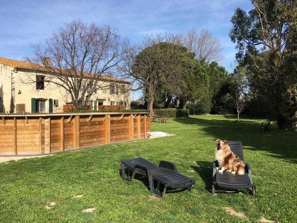 B&B Mas Les Lecques Beaucaire (Gard) Exterior foto